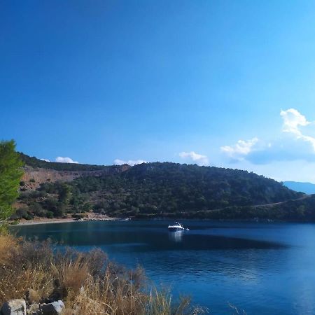 Arsinoe Otel Méthana Dış mekan fotoğraf