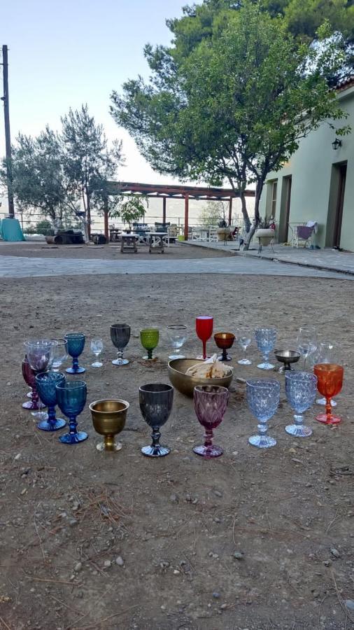 Arsinoe Otel Méthana Dış mekan fotoğraf